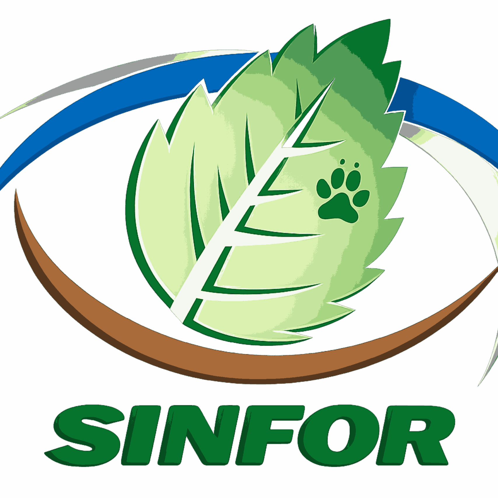 SINFOR (1)